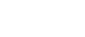 logo white